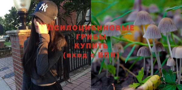 кокаин премиум Алексеевка
