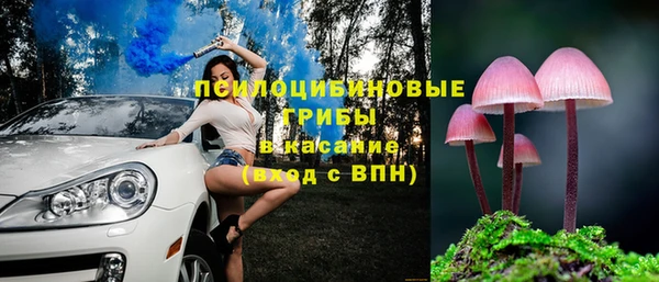 2c-b Алексин